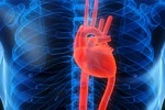 Найдена чудо-смесь, позволяющая забыть о сердечной недостаточности