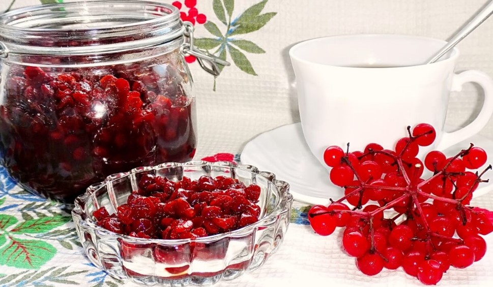 Калина: полезные свойства и противопоказания Калина: полезные свойства и противопоказания