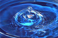 За здоровую экологическую обстановку За здоровую экологическую обстановку