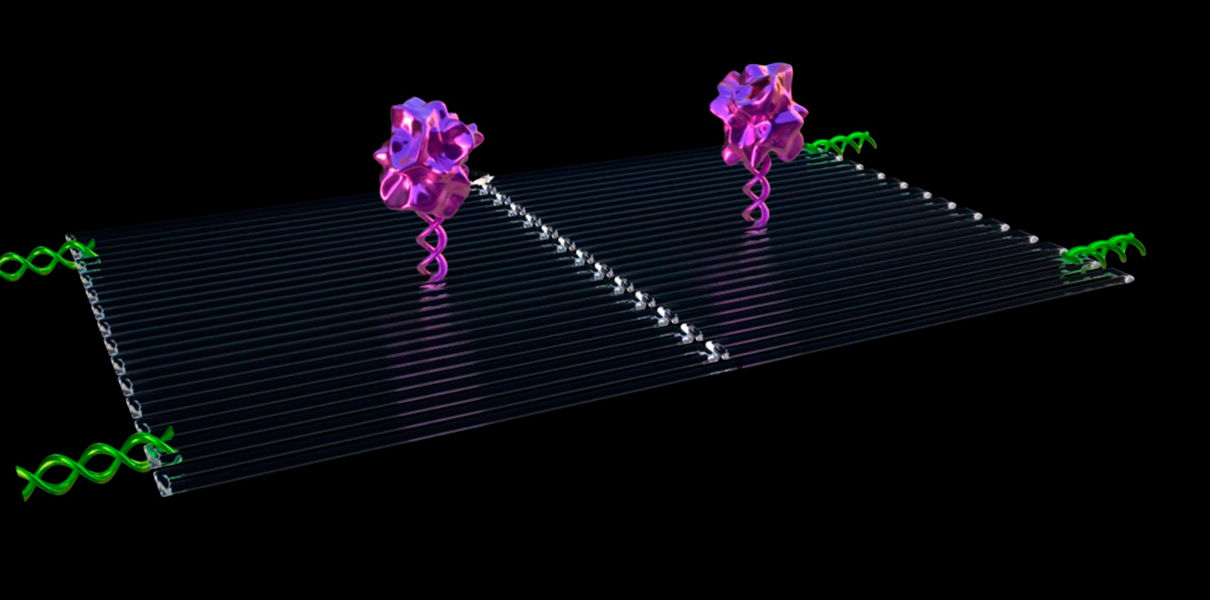 Нанороботов научили убивать раковые опухоли Нанороботов научили убивать раковые опухоли