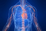 Шесть необычных признаков наличия болезней сердца
