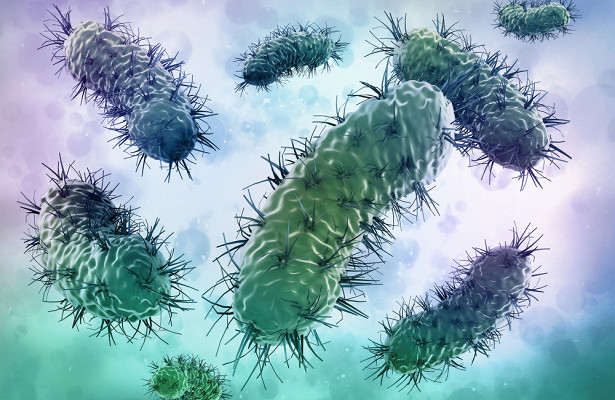 Бактерия, живущая на коже, защищает нас от рака