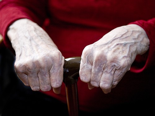 115 — не предел 115 — не предел