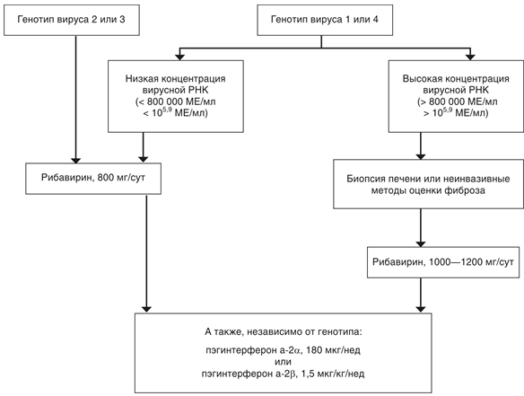 Рис. 8. Алгоритм лечения гепатита C у ВИЧ-инфицированных пациентов.PNG