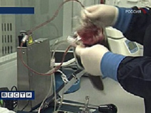 Использование запрещенной технологии клеточной терапии выявлено в Челябинской области