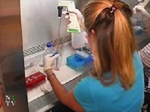 В США пройдут испытания терапии с применением необычных эмбриональных стволовых клеток