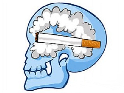 Курение ведет к уменьшению мозга