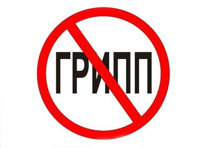 грипп 2.jpg