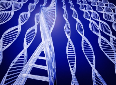 suicide-genes-l 2.jpg