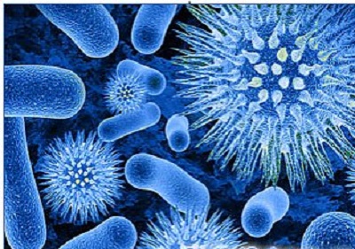 Прорыв в биологии: бактерии обладают чувством обоняния