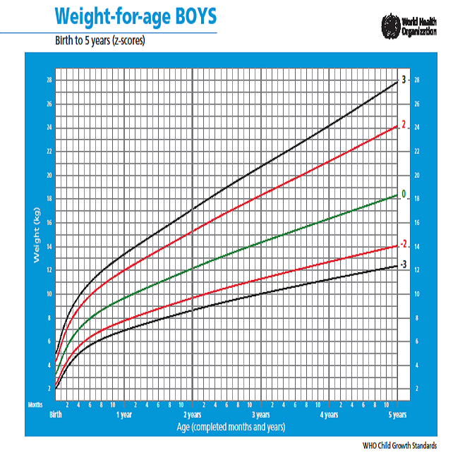 Рисунок 2 (3).PNG