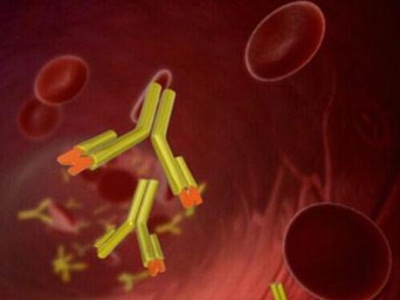NicVAX_1524341c 2.jpg