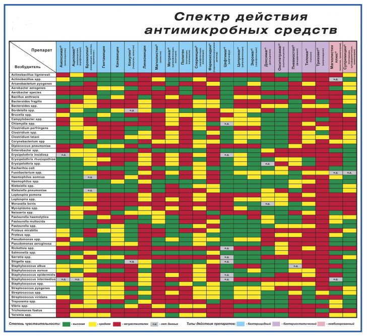 Спектр-действия-728x666.jpg